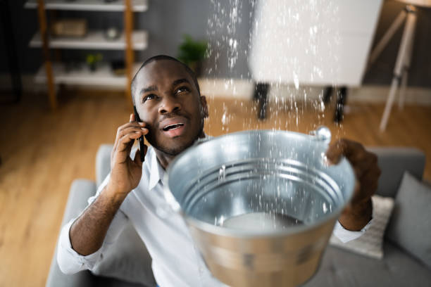  Buena, NJ Water damage restoration Pros