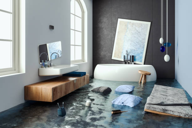 Best Ceiling water damage repair  in Buena, NJ