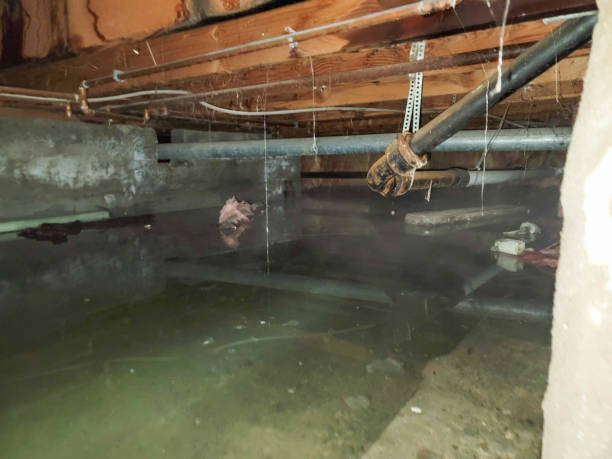 24/7 water damage repair in Buena, NJ