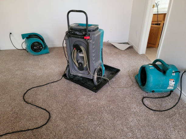 Best 24-hour water damage restoration  in Buena, NJ
