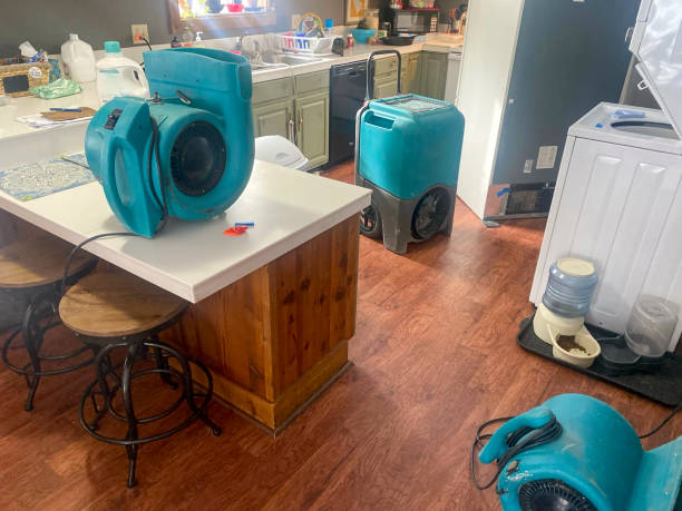 Best 24/7 water damage repair  in Buena, NJ
