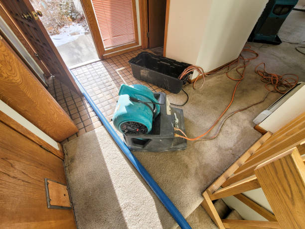 Best Commercial water damage restoration  in Buena, NJ