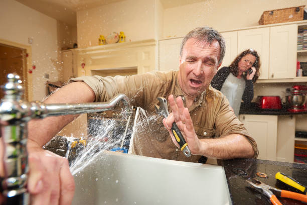 Best Local water damage restoration  in Buena, NJ